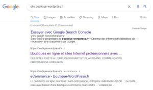 Indexation du site sur Google