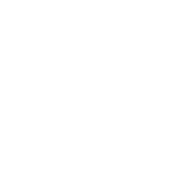 audit SEO on site