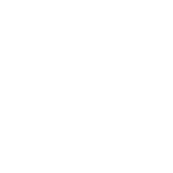 Audit SEO complet