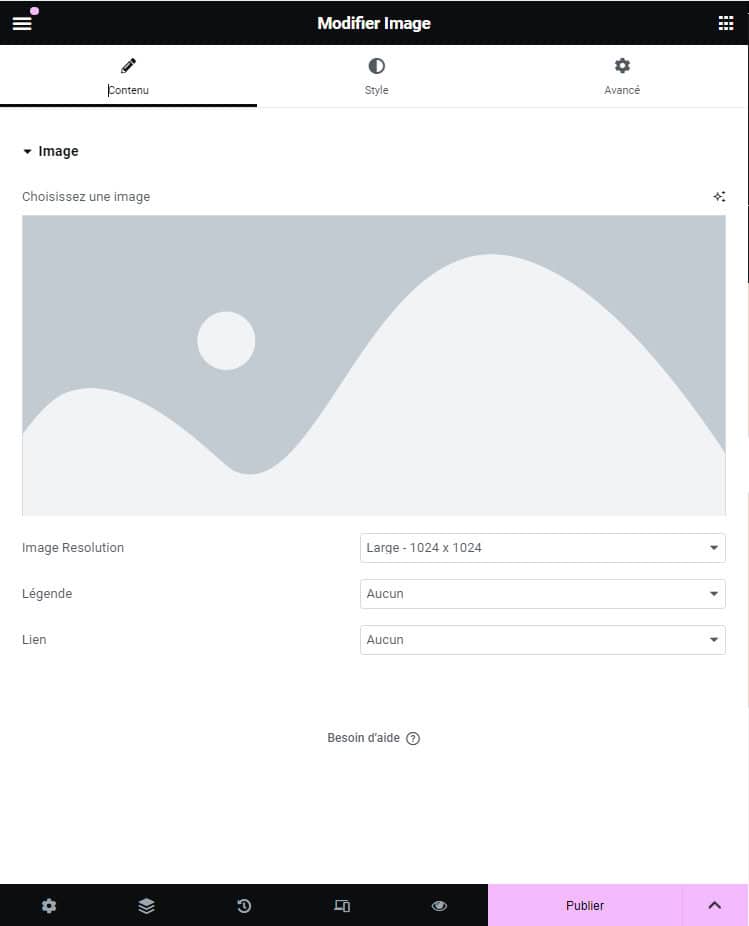 Les options du widget Image d'Elementor