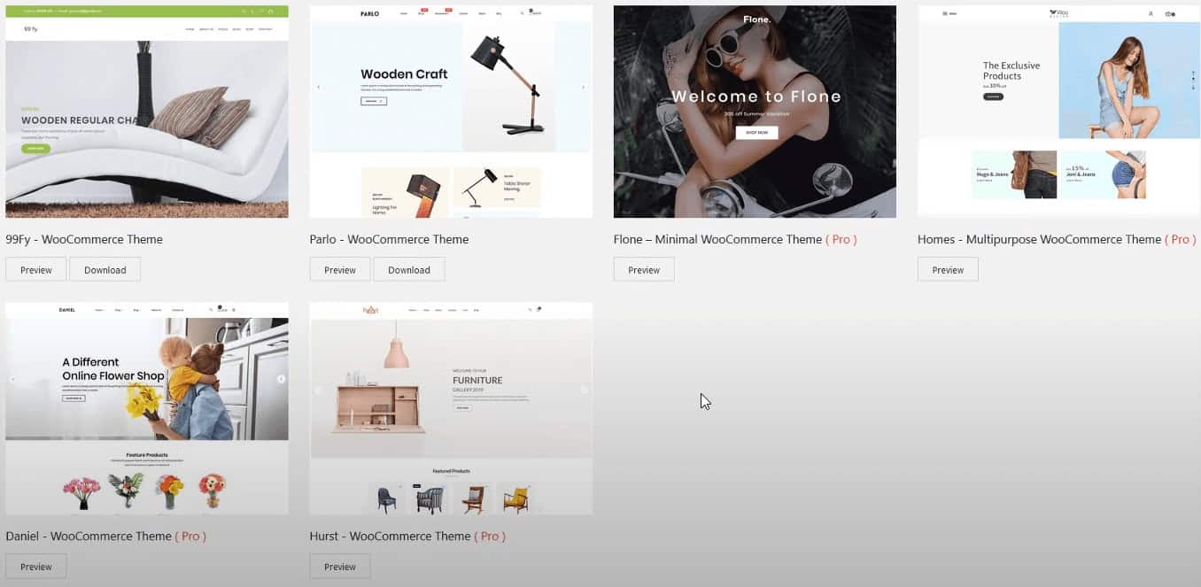 Thèmes ShopLentor pour WooCommerce