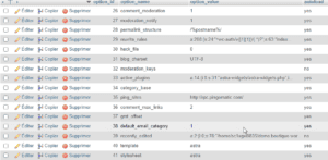 Options de la base de données WordPress