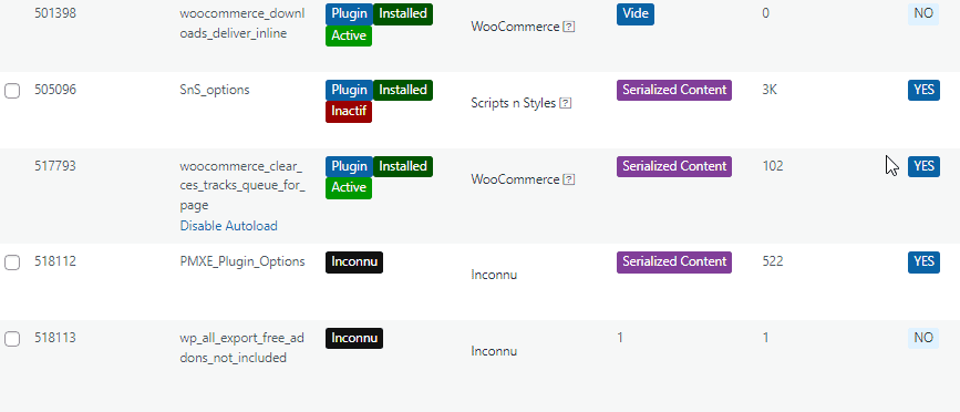 Options en autoload ou pas